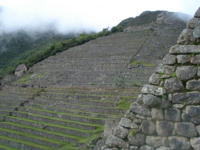 Terraced Fields of Machu Picchu (2).jpg