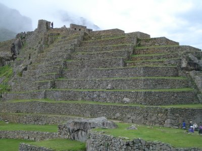 Terraced Fields of Machu Picchu.jpg