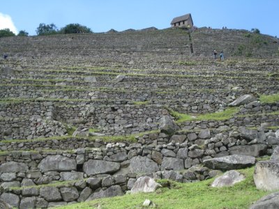 Terraces Looking Up on Machu Picchu.jpg