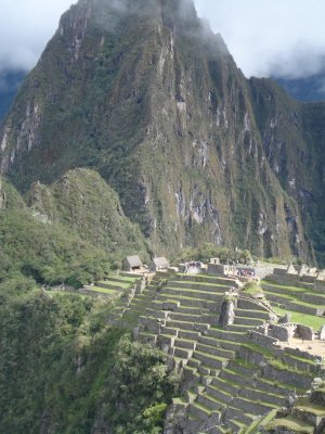 Wayna Picchu and Terraces of Machu Picchu.jpg