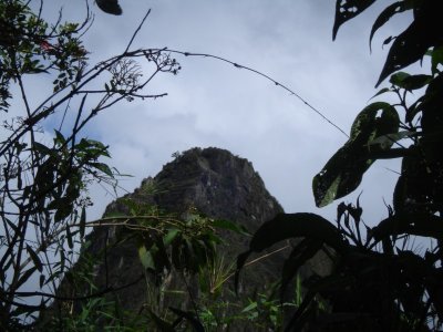 Wayna Picchu from Machu Picchu Entrance (2).jpg