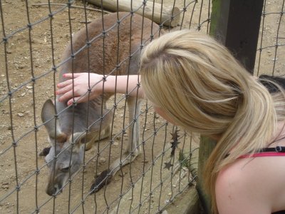 Ashley Petting a Kangaroo.jpg