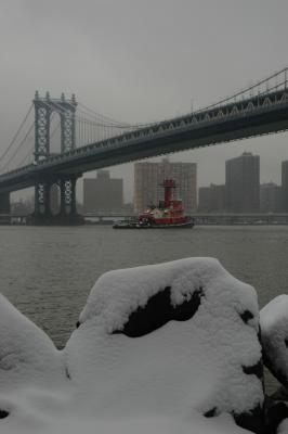 DSC_0145.JPG