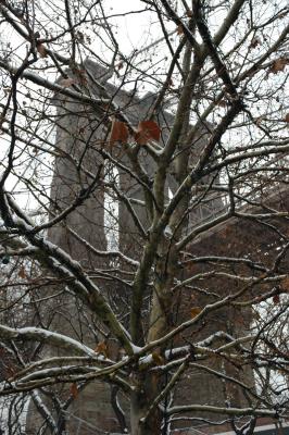 DSC_0162.JPG