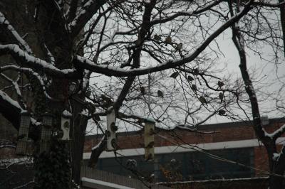 DSC_0163.JPG