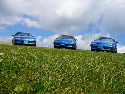 L to R: Jackson's (aka Lotsashelbys), Ralph's (aka Blue Iroc RT), Herb's (aka Goose)