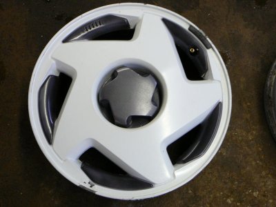 LF P1020625 800x600.jpg