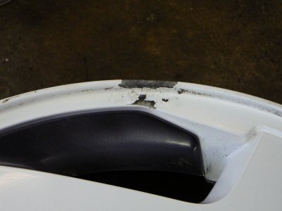 LF P1020636 800x600.jpg