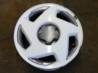 RR P1020622 800x600.jpg