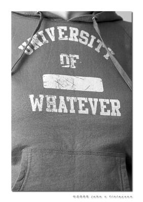 #329 University of Whatever