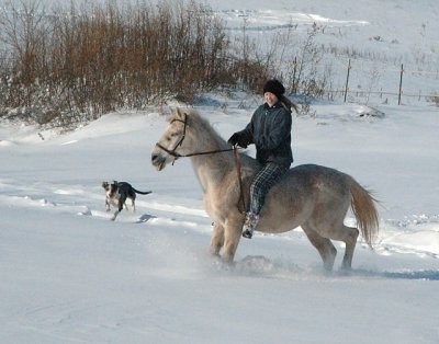 preeky loves fluffy snow