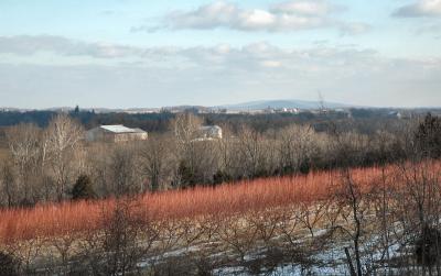 north morning shadows