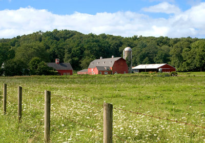 Small Farm in Summer