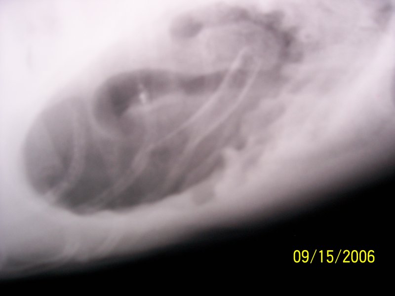 100_0155.JPG