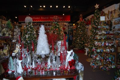 DSC_0305.JPG