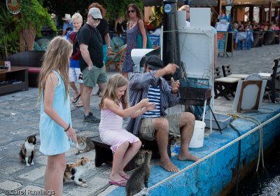 Every evening he catches minnows for the cats and enlists the help of tourist kids