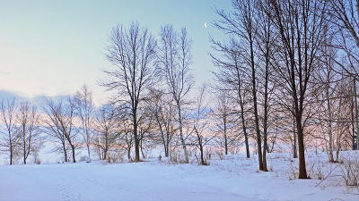 Early morning - Laurel Creek Conservation Area