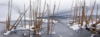 Frozen ditch