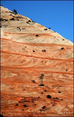 Zion National Park