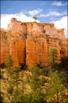 Bryce Canyon