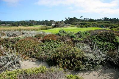 Pebble Beach