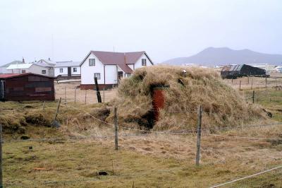 Potato storage in Grindavk