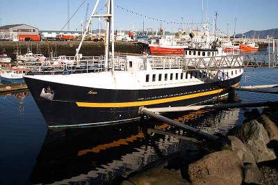 Whale watcher boat