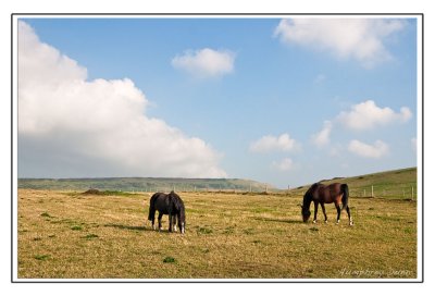 Kimmeridge Bay