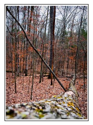 Henry Horton State Park