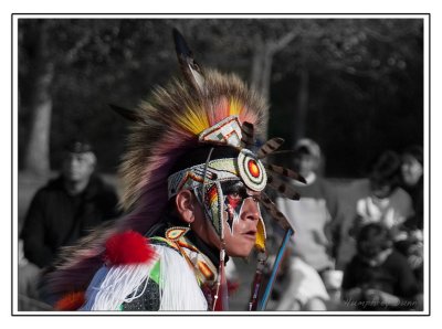 Tennessee State Intertribal Pow Wow 2008