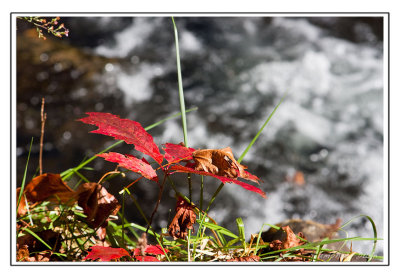 Smoky Mountain Fall