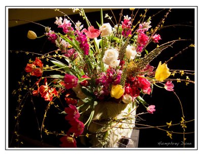 g3/24/369324/3/122587125.sLpaUK6l.jpg