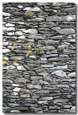 Derrynane Abbey