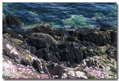 Derrynane
