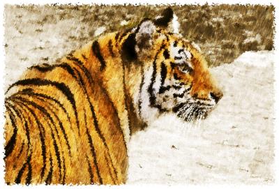 tiger art2.jpg