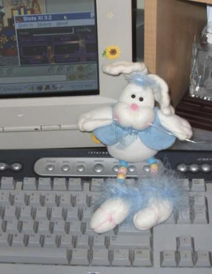 widdlwabbit playing slots