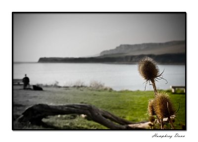 Kimmeridge Bay