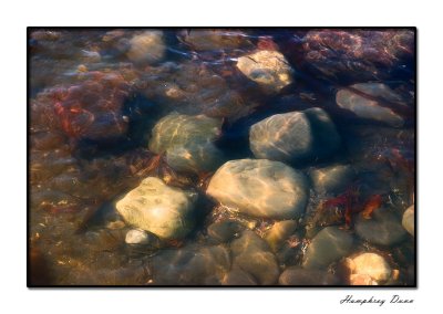 Kimmeridge Bay