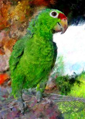 Parrot 2 (painting)