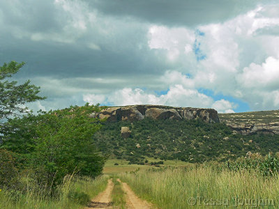 The road leading to the homestead..