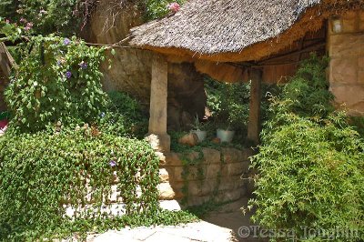 Charming thatched entrance to a garden cottage