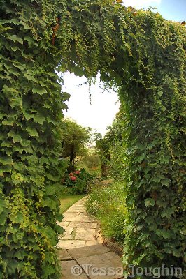 Path to the homestead