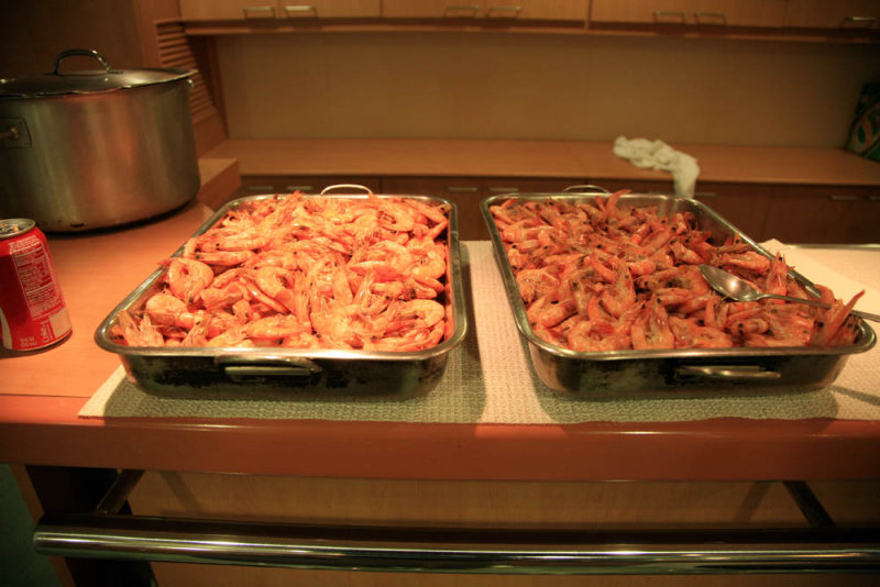 Shrimp