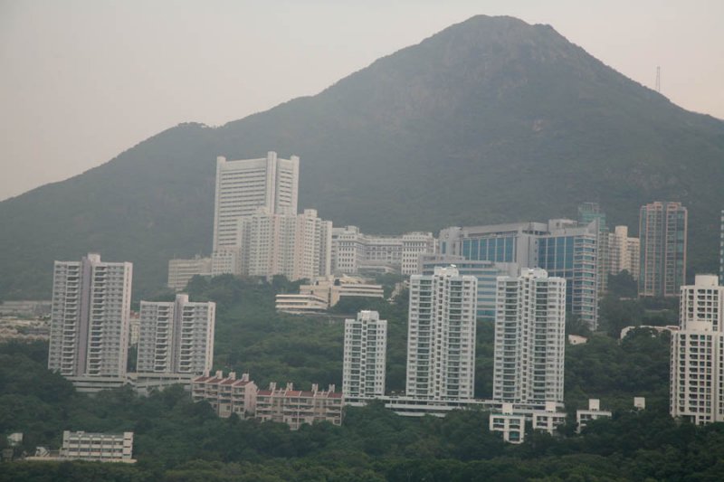 XIMG_2802.jpg