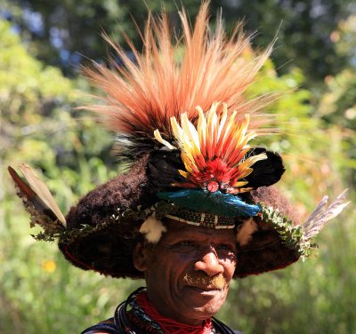 Wig and Headdress