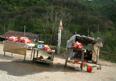 Rhubarb Vendor