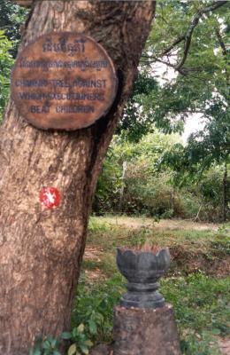 Chankiri Tree