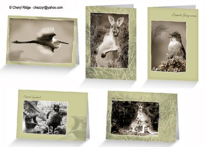Australian wildlife photo art cards designed by Cheryl Ridge