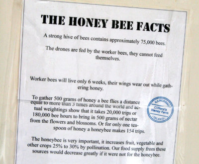 0234-bee-facts.jpg