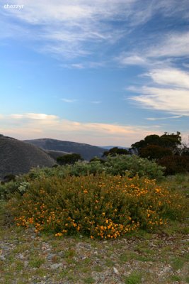 Mount Hotham